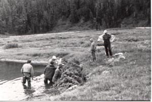 Bear Valley Project
