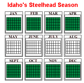 Clearwater Drifters Steelhead Season