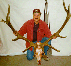 1997 Big Bull Winner