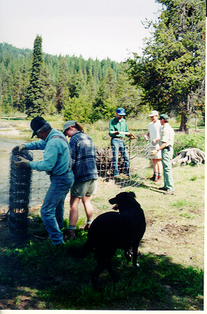 Barney, Mary, Richard, Jim and Doug build a temporary 
fence along a portion of Silver Creek to protect stream bank and vegetation 
recovery.  Barney's dog in foreground.