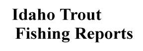 Idaho Trout Fishing Reports