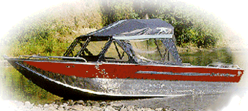 Pro302