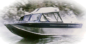Silverwing
